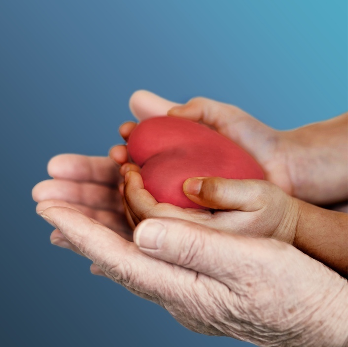 An older person's hand held out with a young child's hand on top holding  a heart