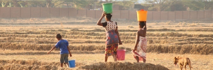 Two Africans out in a field harvesting crops
