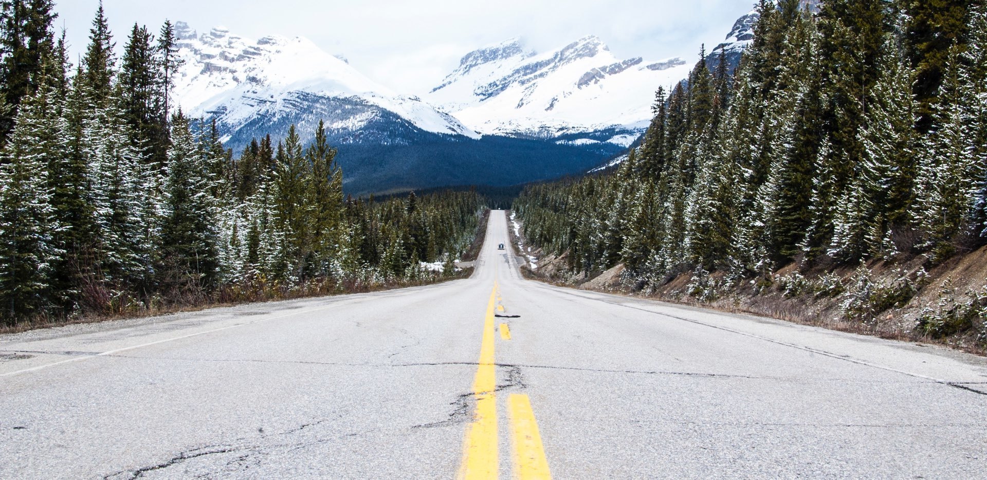 Road in snowy forest with mountains in the background